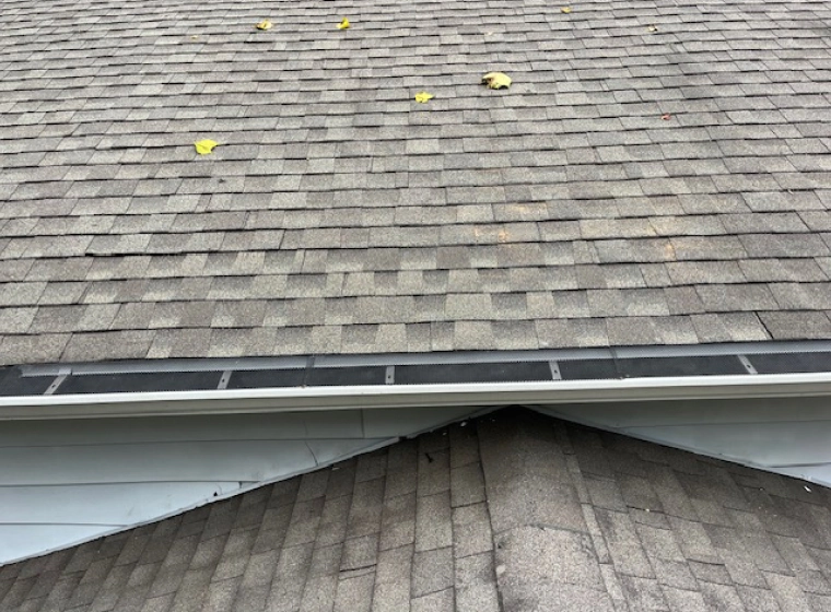 asphalt shingles roofing (1)